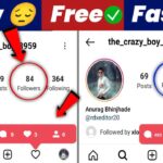 french follower brizy- Without Login 2500 Instagram Followers Free